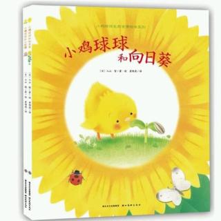 卡蒙加儿童之家小杨老师~《小鸡球球和向日葵》