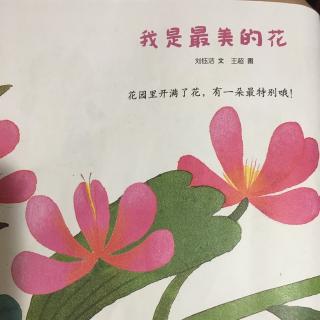 我是最美的花