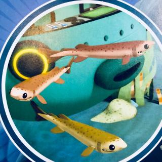 201海底小纵队与雪茄鲛