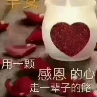 何艳丹美女深情分享正宇