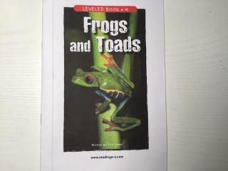 frogs and toads