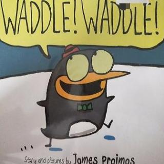 waddle waddle 搖搖擺擺