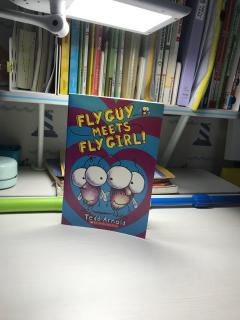 fly guy meets fly girl!2018.6.3