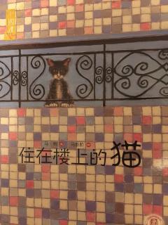 住在楼上的猫   作者：马俐