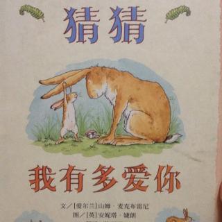 猜猜我有多爱你