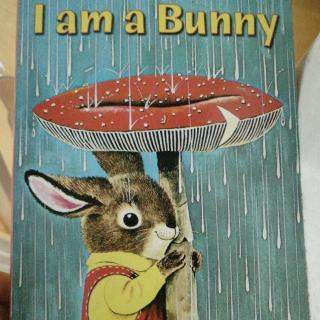 20180603《I'm a  Bunny》