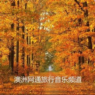 【唯美钢琴】《秋天的童话》凄美的琴音清新缠绵