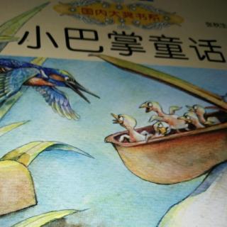 小巴掌童话《河马先生钓鱼》