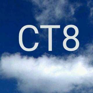 【香气与空间】CT8红花籽油