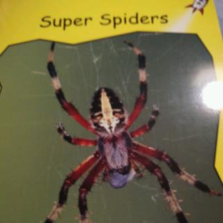 Super spider