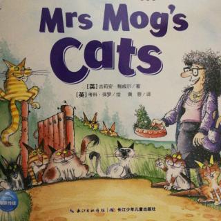 Mrs Mog's cats