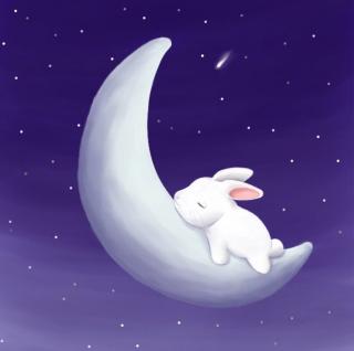 月亮和小兔子—蕃茄田艺术武汉