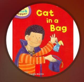 ORT: Cat in a Bag k16