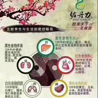 世间两大困扰：失眠和便秘