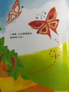 小豆腐爸比，蝴蝶