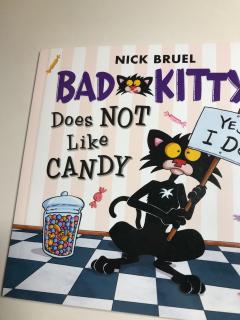 kitty does not like candy