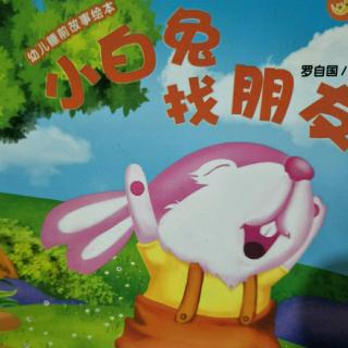小白兔找朋友