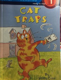 Cat Traps k17