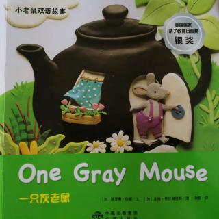 ✨One Gray Mouse🐭