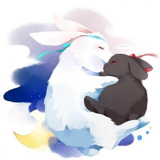 小灰兔与小白兔