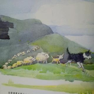 阳光宝宝幼儿园第103期《最棒的牧羊犬》