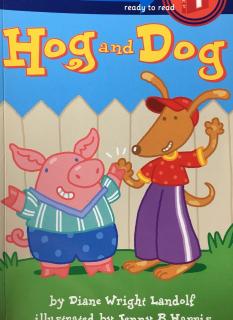 Hog and Dog k19