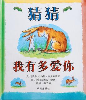 绘本《猜猜我有多爱你》