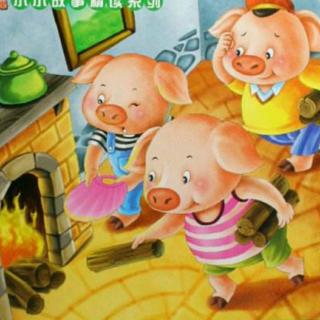 【金海教育】第31期微课堂故事《三只小猪》