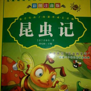 《昆虫记》之 狼蛛 4---5