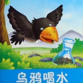 快乐小屋睡前故事《乌鸦喝水》