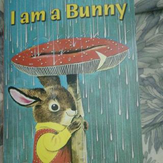 《I.m a bunny》