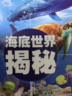 危险的海洋生物🦈