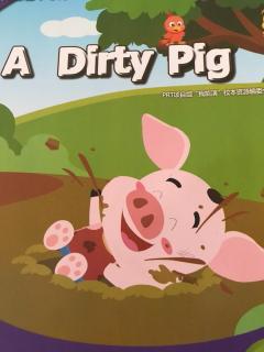 A dirty pig