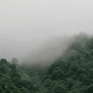 夏天的雨