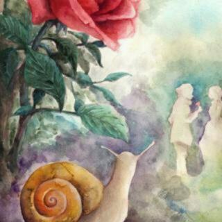 蜗牛和玫瑰树思维导图图片