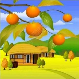 苹果🍎和橘子