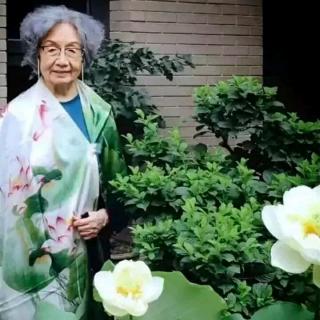 《莲实有心 应不死》叶嘉莹