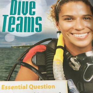 Dive Teams