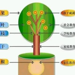 园长妈妈的睡前故事51《蜗牛的友谊》第四幼儿园