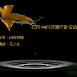 闲云野鹤：在雨中的灵魂何处安放