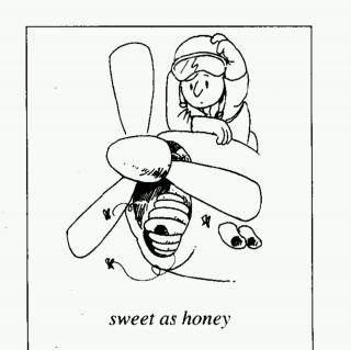 Lesson 66 Sweet as honey! 像蜜一样甜！