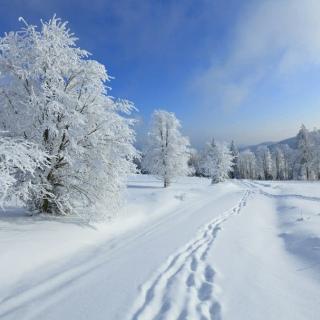 雪