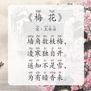 【每天背古诗】宋·王安石《梅花》