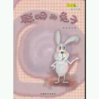 【绘本故事498】——《聪明的兔子🐇》