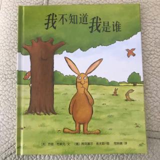 我不知道我是谁🐰（17年暑假录制）