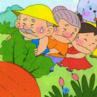 【故事3】北大双语幼儿园园长妈妈晚安故事《拔萝卜》