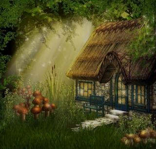 《林中的小屋》，作者：张小娴，朗读：蓝芸