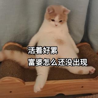 玻璃中