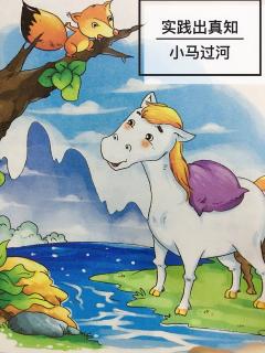 👩🏼‍🏫文艺老师讲故事🍀明辨是非篇《小马过河》