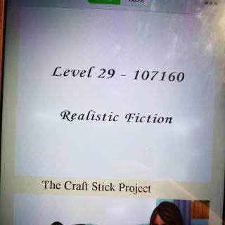 The craft Stick Project